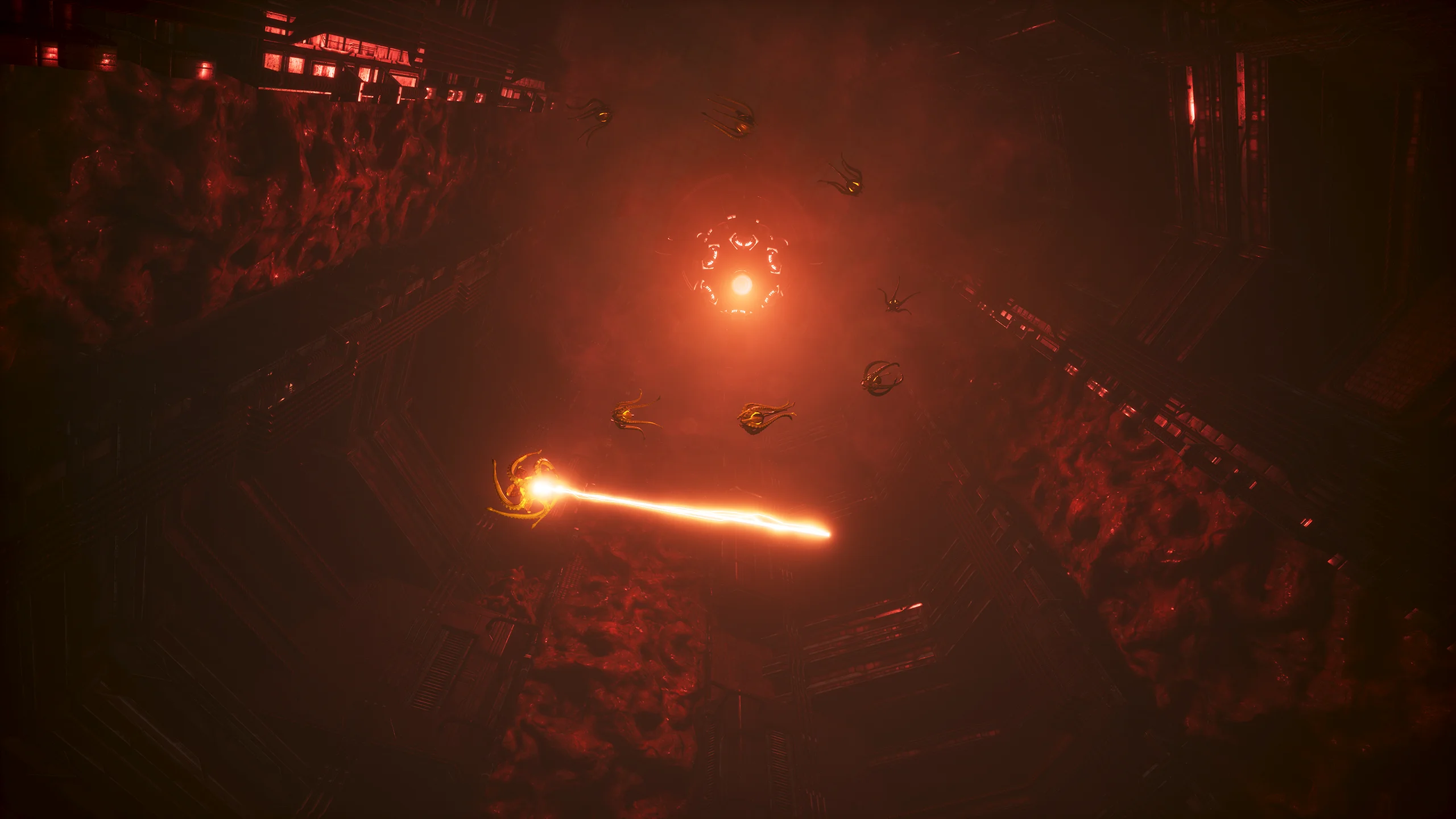 META screenshot
